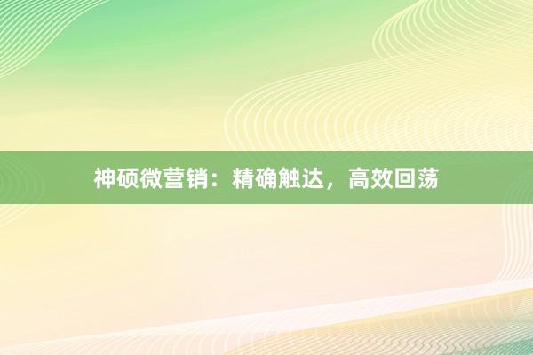 神硕微营销：精确触达，高效回荡