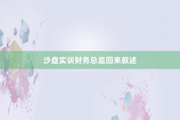 沙盘实训财务总监回来叙述